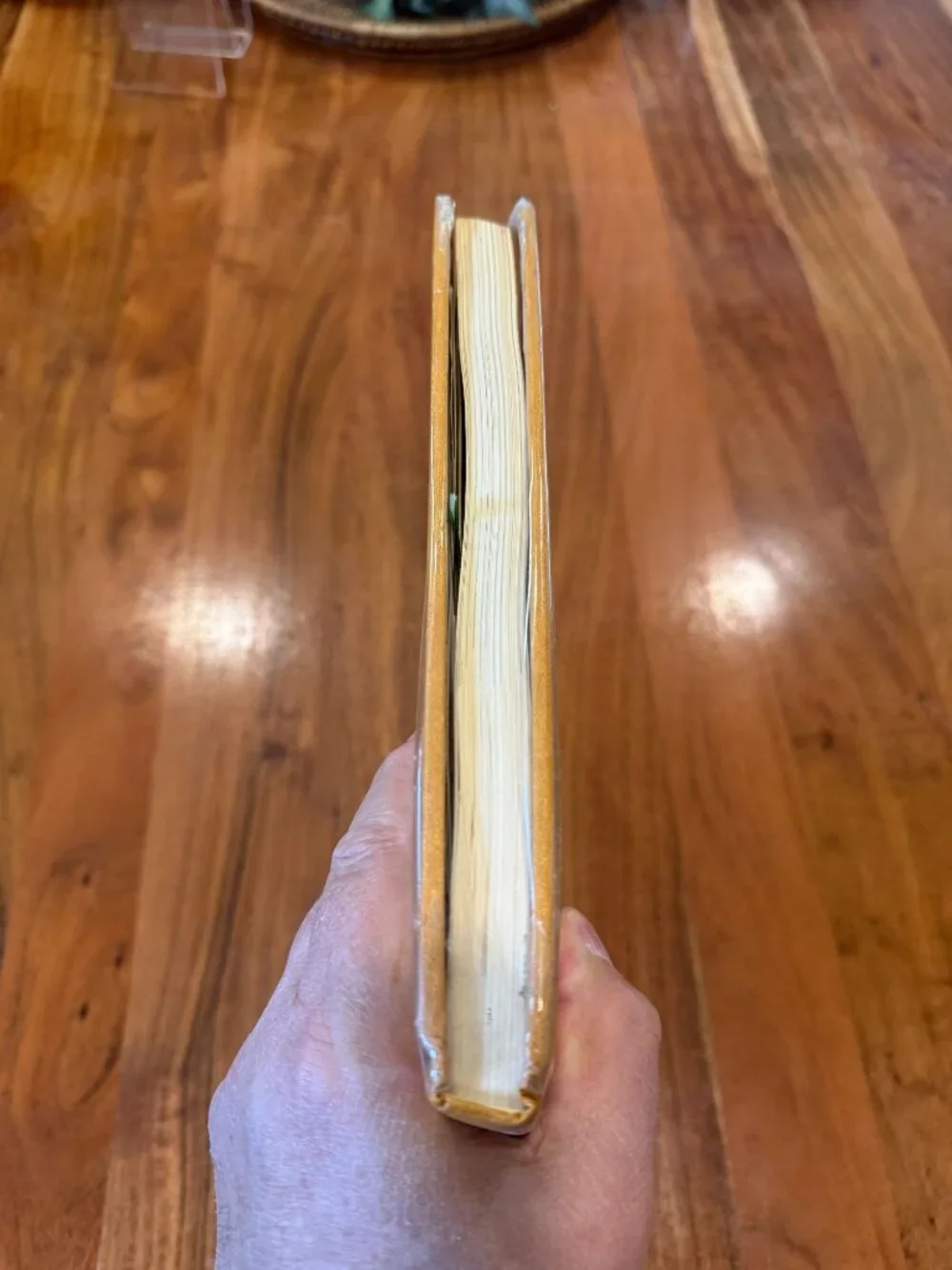 N/A 1971 matsu